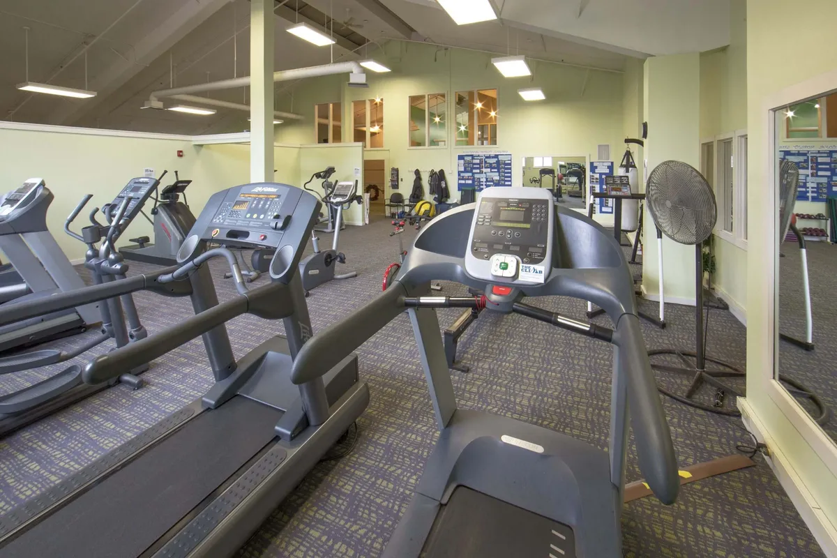 A spacious, modern fitness center with rows of treadmills and various exercise equipment positioned near large mirrors and windows. The room is bright and airy, with gym-goers engaged in their workouts, creating a dynamic atmosphere.